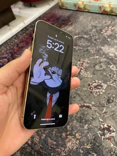 iphone 12 pro 512GB NON APPROVED