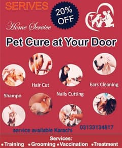 dog trainer care taker home service all over Karachi available