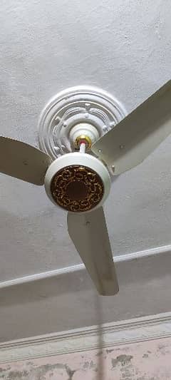 AC/DC inverter Fan