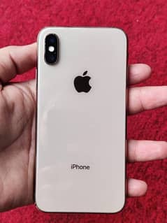 iphone xs 256gb dual pta approved