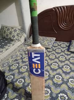 Cricket hard ball kit