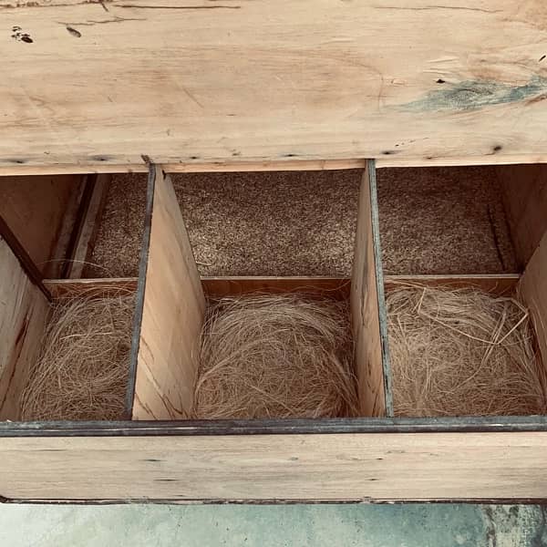 Fancy Hen Cage for Sale 3