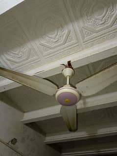 AC ceiling fan for sale