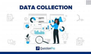 Data Collection Job for Fresher