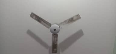 CELLING FANS