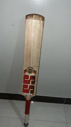 SS hard ball cricket bat