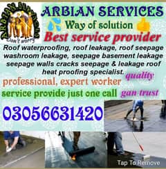 waterproofing leakage seepage washroom roof tank repair services