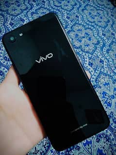 vivo