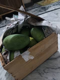 White chaunsa mango for sale