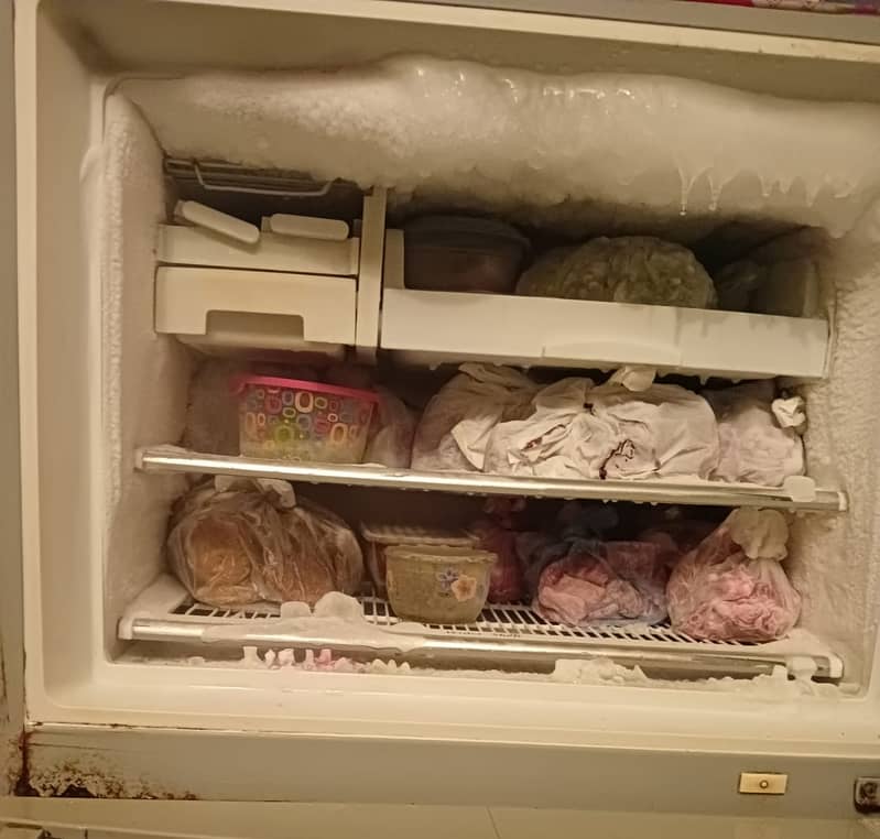 Dawlance Refrigerator 5