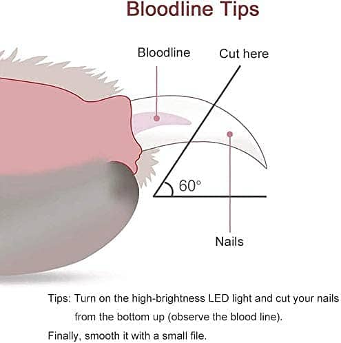 GTYMSJ Cat And Dog Nail Clippers And Trimmers 1
