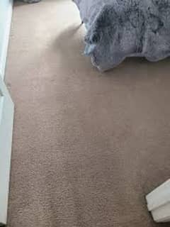 carpet