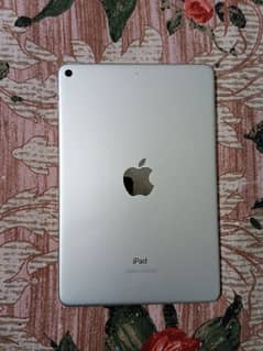 ipad mini 5