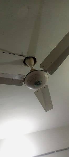 speed fan 3