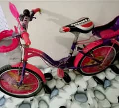 Barbie doll cycle