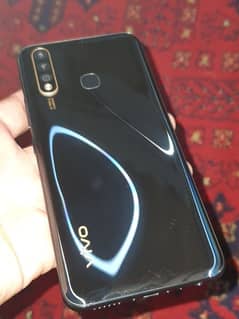 vivo