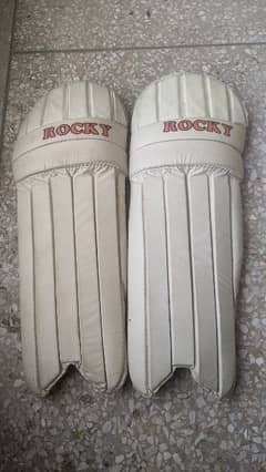 CRICKET PADS AND HELMET FOR SALE