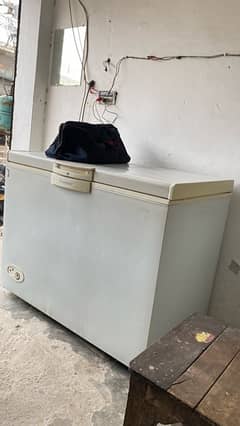 Waves Single Door Freezer Condition 10/9