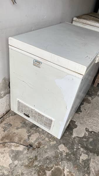 Waves Single Door Freezer Condition 10/9 1