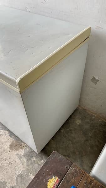 Waves Single Door Freezer Condition 10/9 2