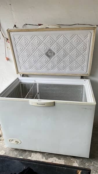 Waves Single Door Freezer Condition 10/9 5