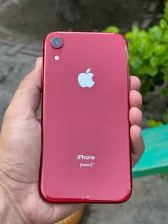 IPhone XR NonPta 64gb