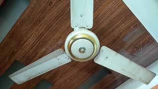 Ceiling Fan 220V AC