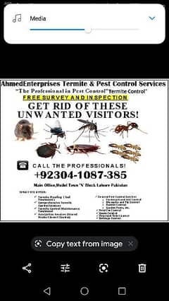 Termite control deemak control pest control services, fumigation spray