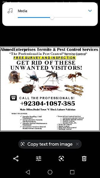 Termite control deemak control pest control services, fumigation spray 0