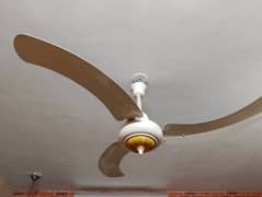 St ceiling fan fancy model new condition