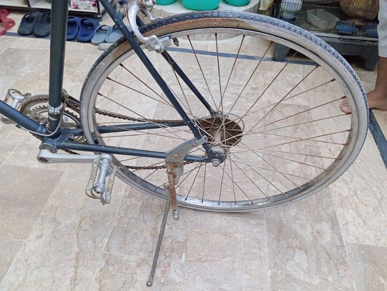 Sports Bicycle for sell 2