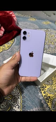 iphone 11 PTA dual physical