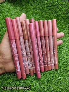smudge proof lip pencil pack of 12