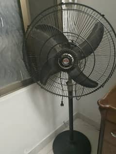 Royal fan very good condition