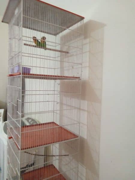 5 star Cage for Sale 1.5 x 1.5  with ports. 2