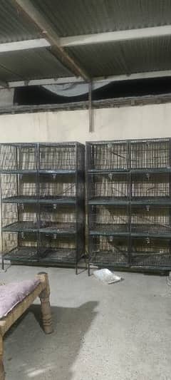 Full angel cages heavy gauge