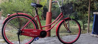 JAPANI CYCLE FOR SALE 03361450902