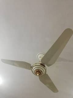 ceiling fans 4 sale