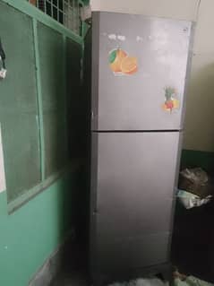 PEL full size fridge