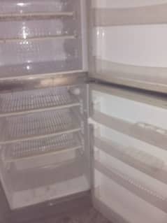4 sale pel  refrigerator full size   condition  10/9