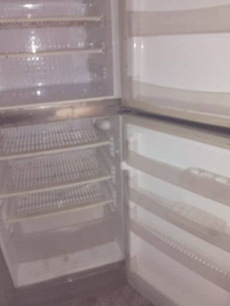 4 sale pel  refrigerator full size   condition  10/9 0