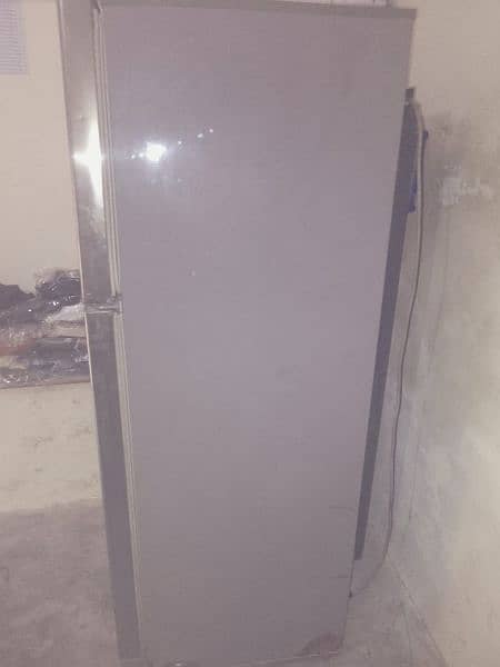 4 sale pel  refrigerator full size   condition  10/9 8