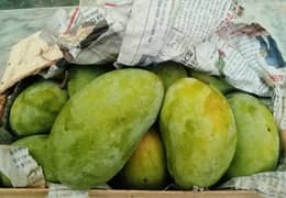 Mangoes ( Fruits)