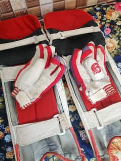 batting pads and gloves