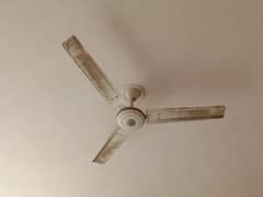 celling fan available for sale in good condition