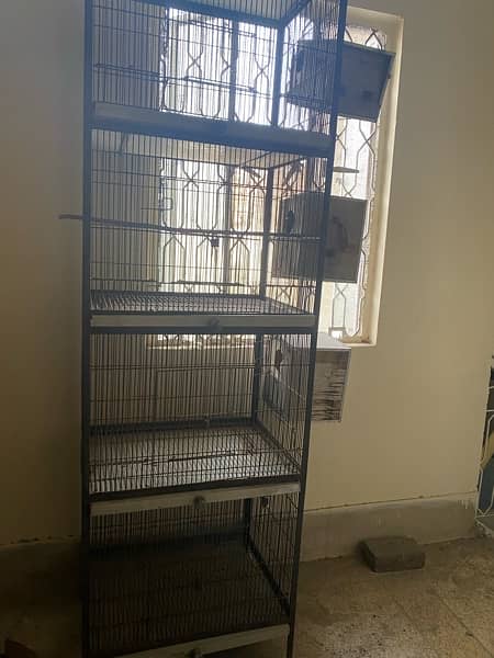 cage for birds 2