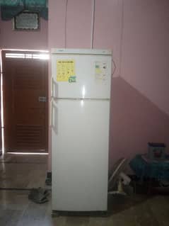 Siemens company freezer