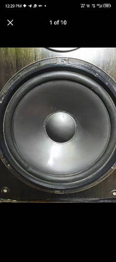 pioneer private 10 inch speaker