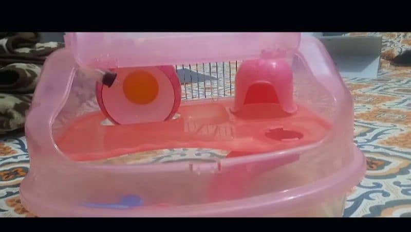 hamster cage 1