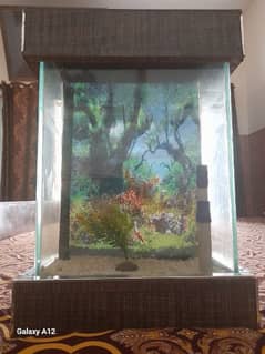 Fish Aquarium For Sale